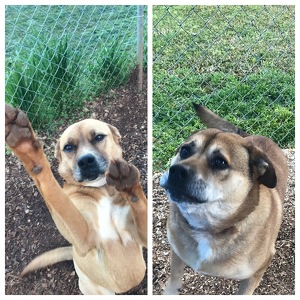 Fundraising Page: Jackie Henry